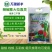 辣椒膨大拉直灵辣椒膨大素叶面肥拉长膨大拉直椒多三不落