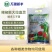 辣椒膨大拉直灵辣椒膨大素叶面肥拉长膨大拉直椒多三不落