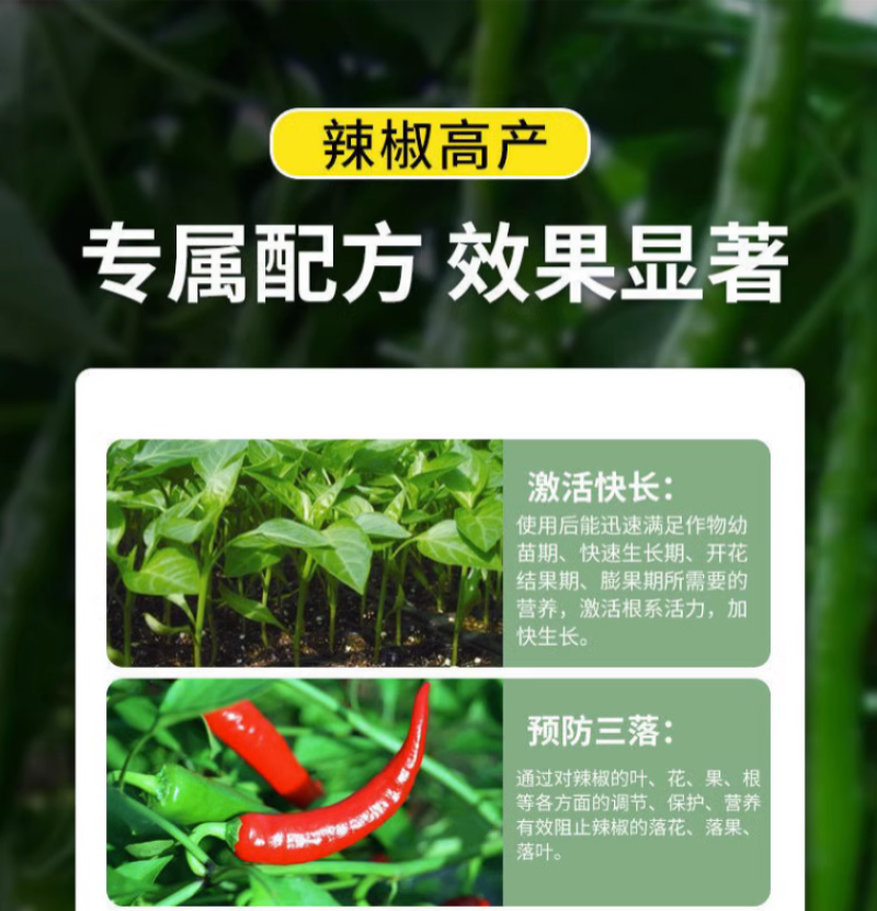 辣椒膨大拉直灵辣椒膨大素叶面肥拉长膨大拉直椒多三不落