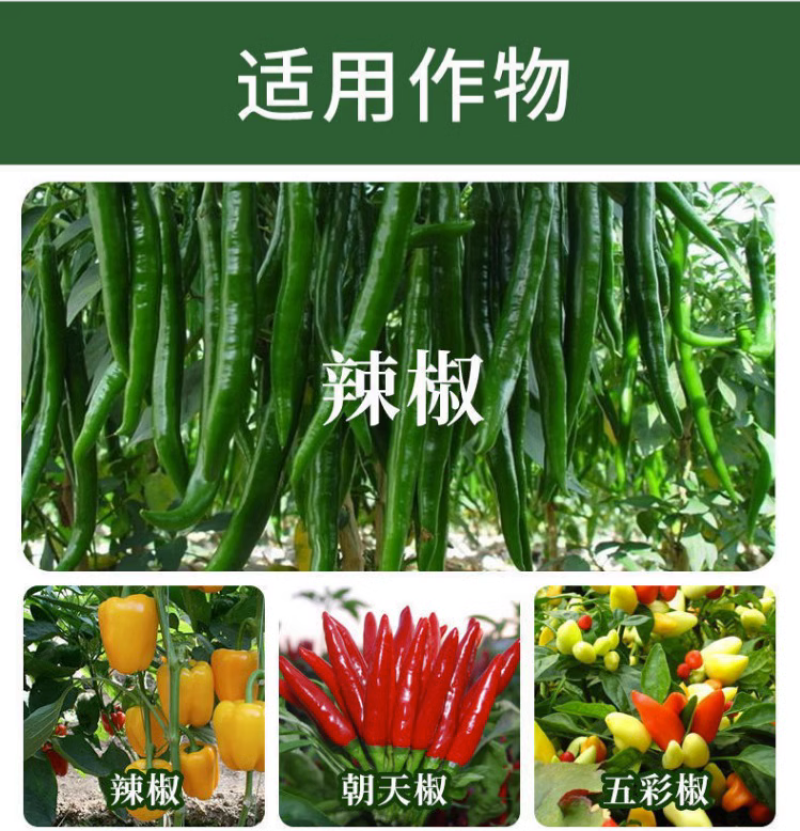 辣椒膨大拉直灵辣椒膨大素叶面肥拉长膨大拉直椒多三不落