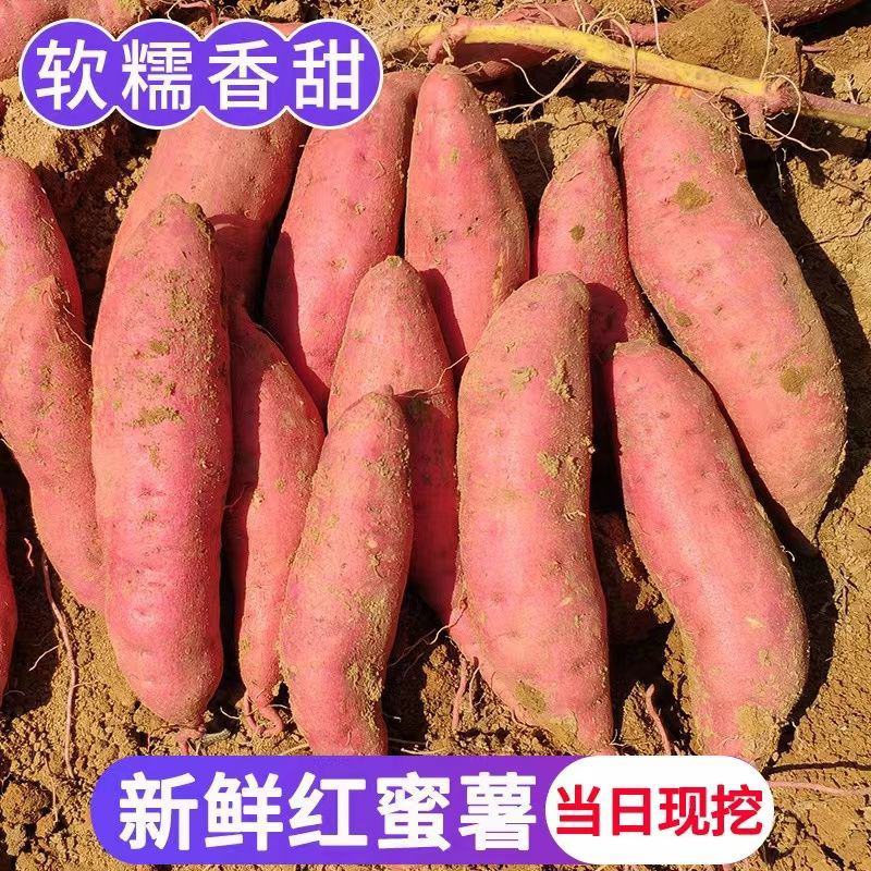 河南开封沙地红薯西瓜红蜜薯龙九济薯33产地直发