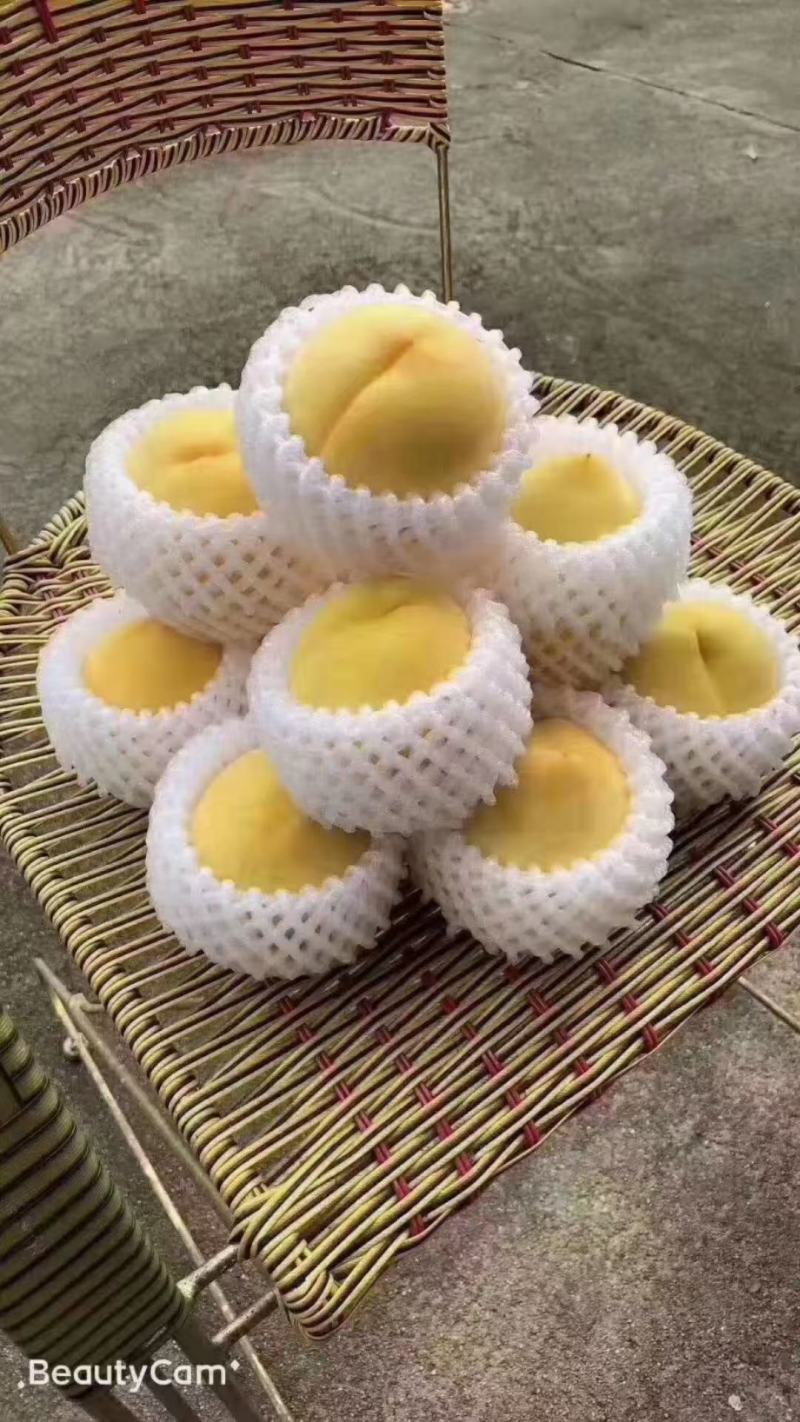 中国黄桃之乡，正宗炎陵高山黄桃，脆口香甜