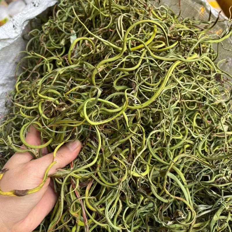 化石草