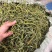 化石草