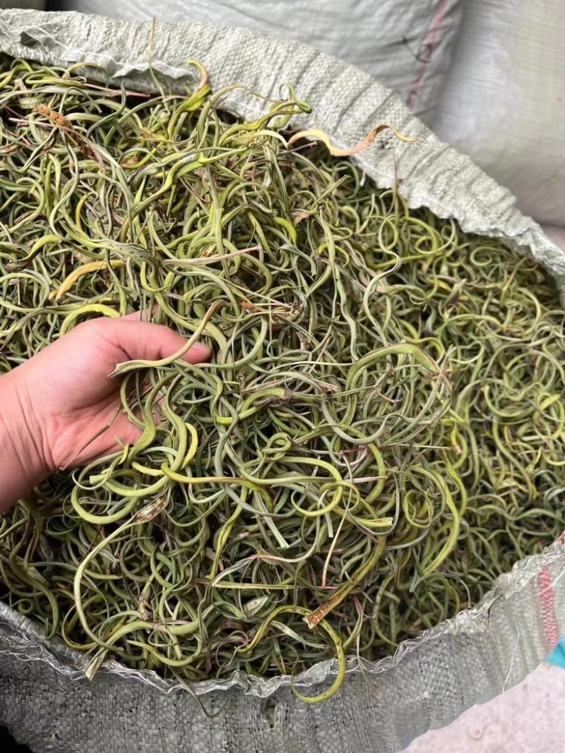 化石草
