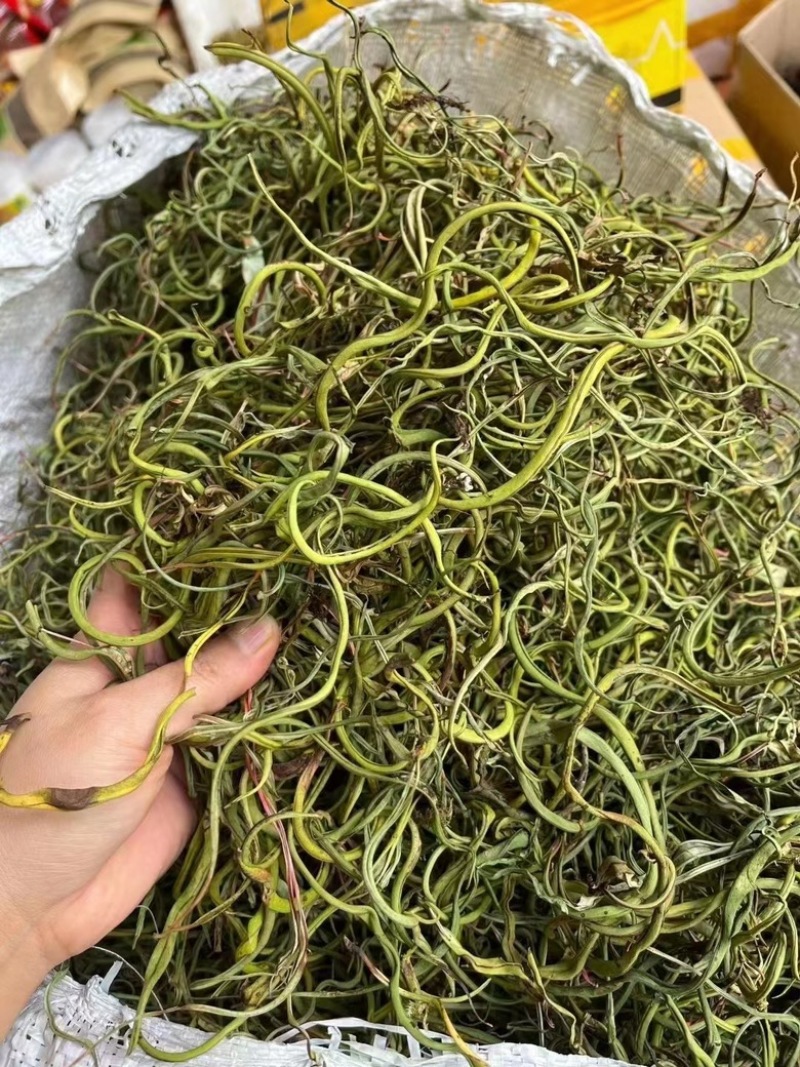 化石草
