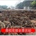 荔枝果木炭高温炭烧烤店商用家用无烟耐烧（可一件代发批发）