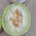 精品玉菇甜瓜，饶阳万亩特产，诚信代发电商批发商，欢迎订购