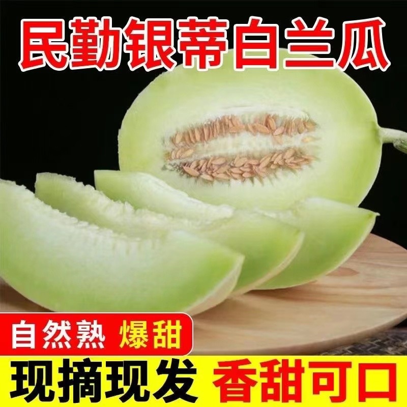民勤蜜瓜