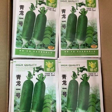 水果萝卜种子～青龙1号非常好吃
