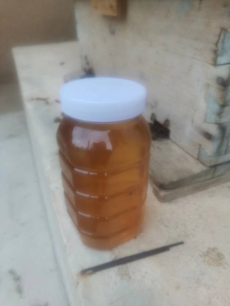 甘肃中蜂蜂蜜，专业养蜂收蜜，质量保证，欢迎咨询