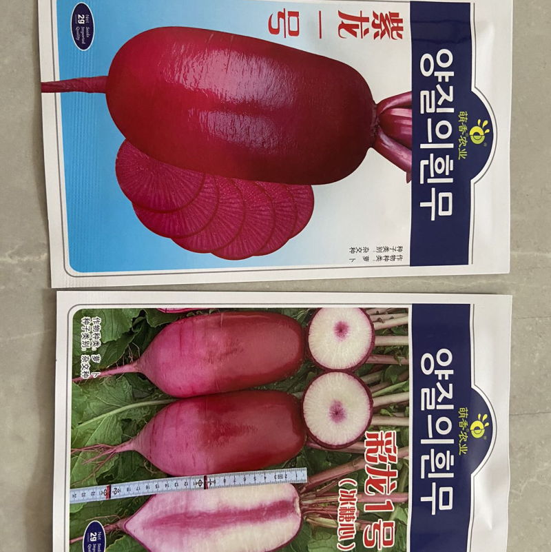 紫龙，彩龙，青龙1号三个水果萝卜种子