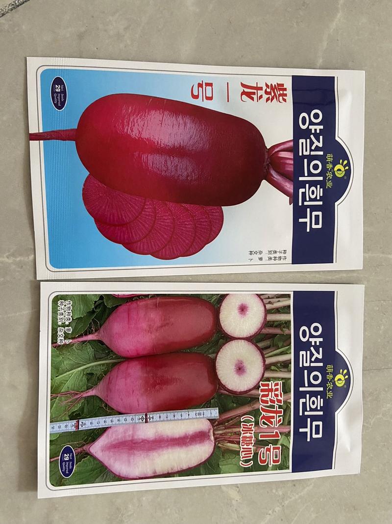 紫龙，彩龙，青龙1号三个水果萝卜种子