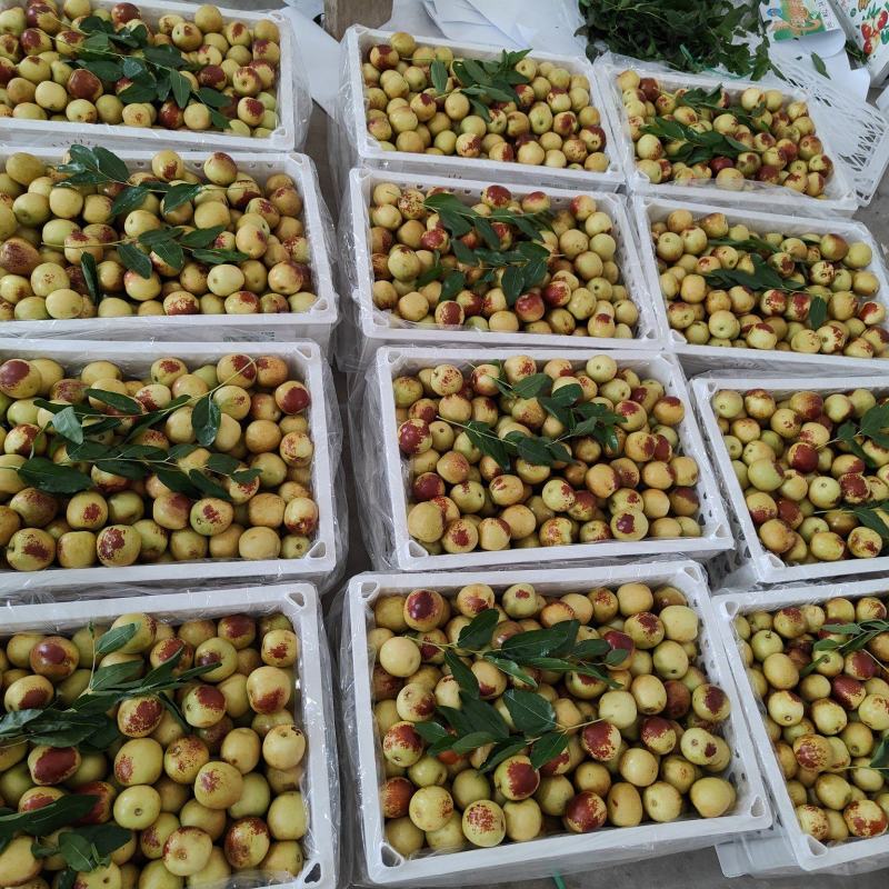 大荔冬枣