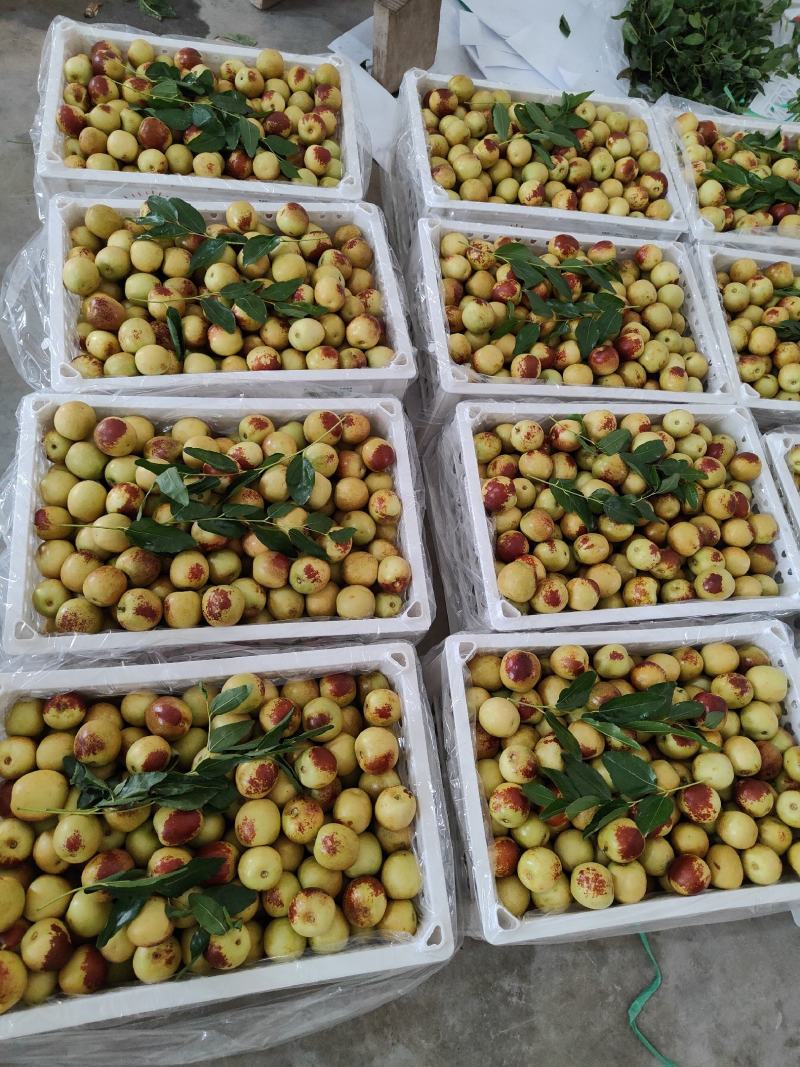 大荔冬枣