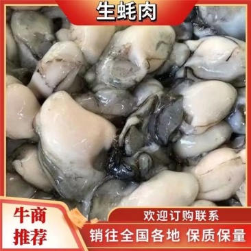 生蚝肉生蚝肉蚝烙海蛎煎肉批发养殖场大量供应欢迎咨询