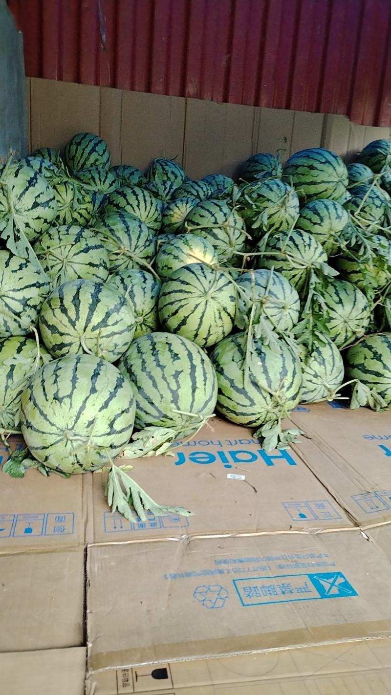 芷江露天麒麟西瓜，皮薄，口感好，品质有保证，价格合理