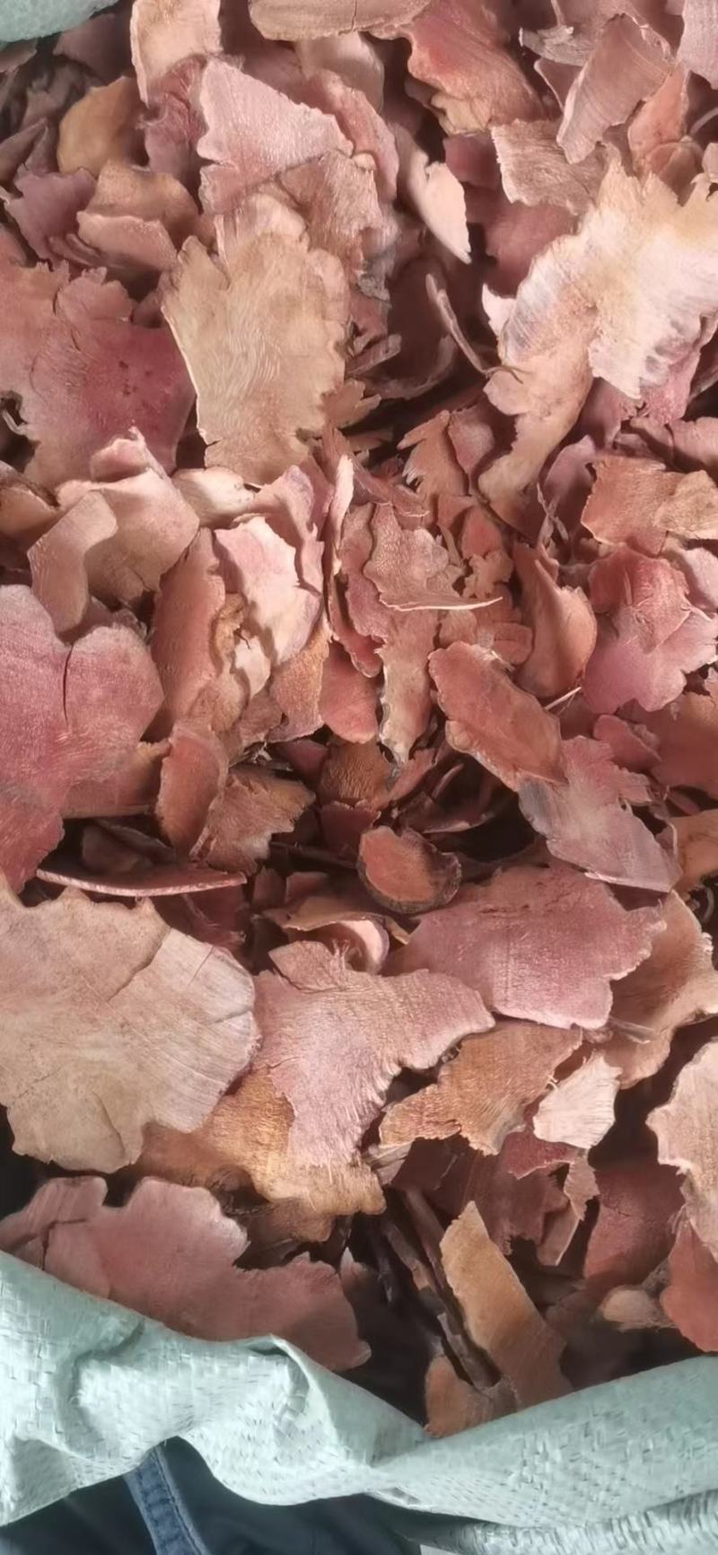 切片土茯苓红卑解精品红茯苓干货价格实惠质量保证
