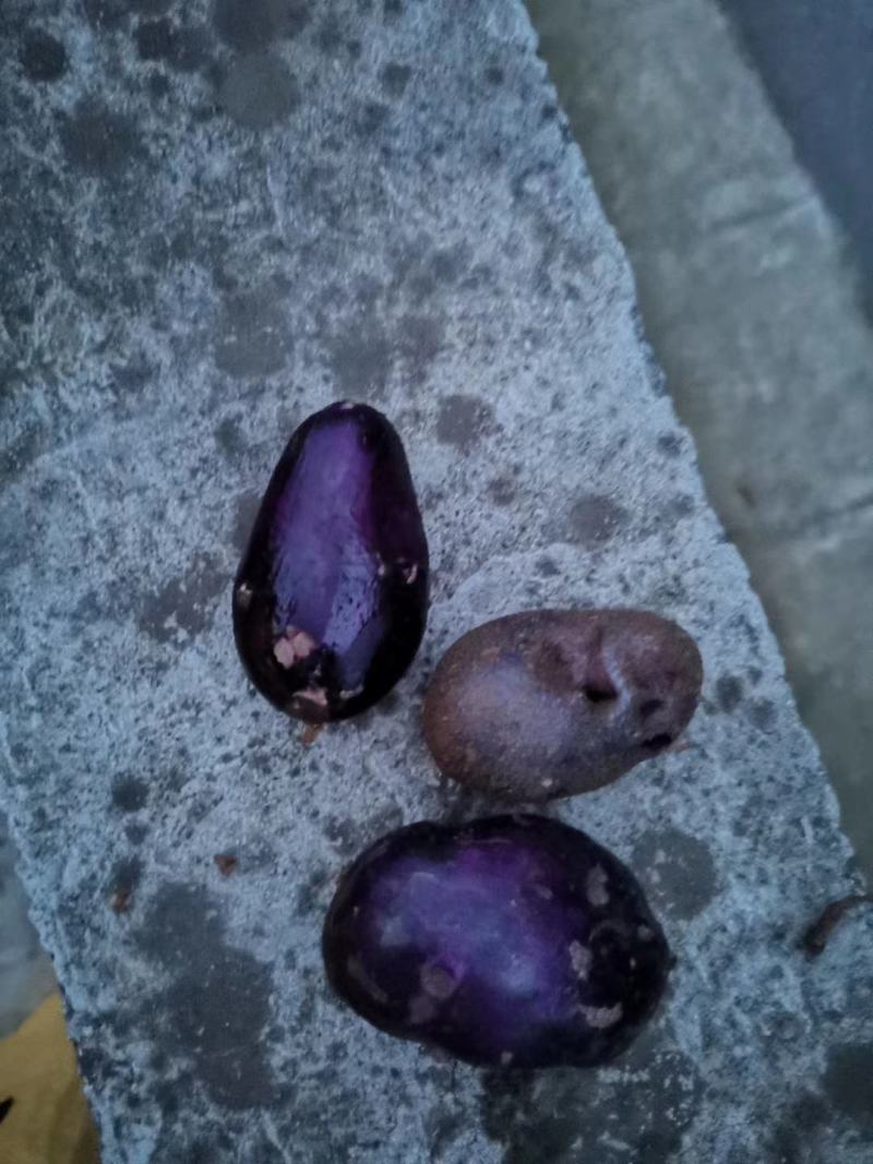 土豆中的贵族，不管是我烧烤煮炸闷，切片切丝不切，味道赌好