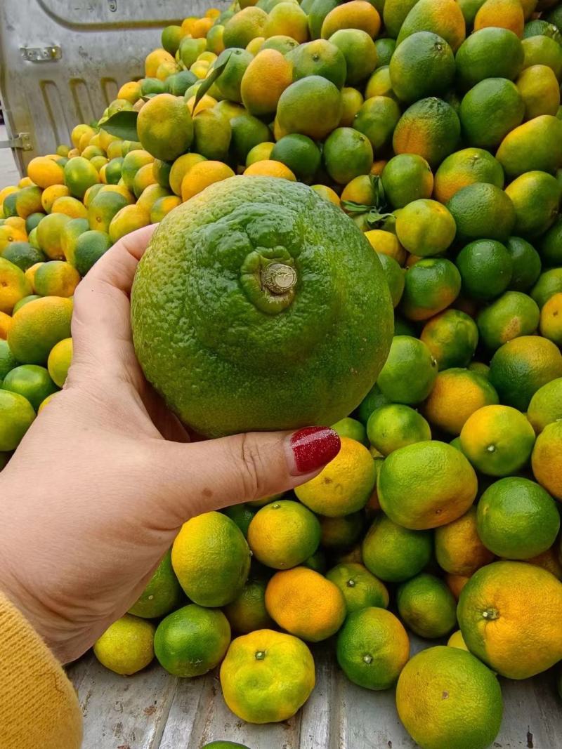 云南丑橘产地直发对接电商商超团购批发为主，可产地看货