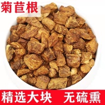 菊苣根茶野生根泡茶长白山天然菊苣根去风去痛排酸菊苣根批发