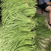 长豆角