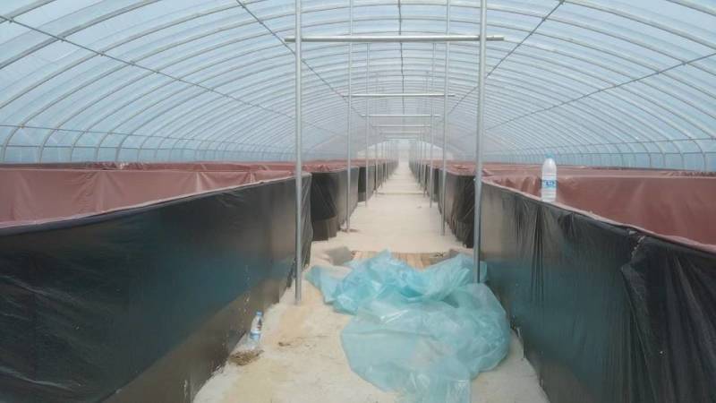 海水专用环保无味养虾帆布池淡水对虾帆布池