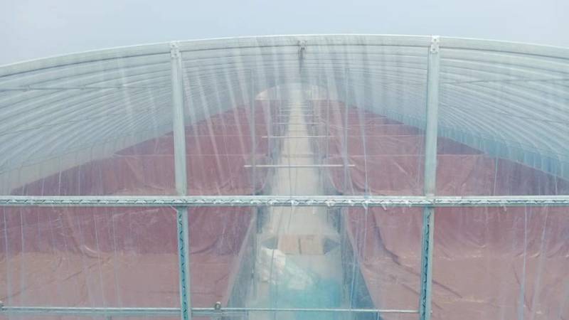 海水专用环保无味养虾帆布池淡水对虾帆布池