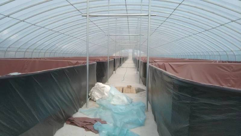 海水专用环保无味养虾帆布池淡水对虾帆布池