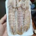只只带膏皮皮虾
