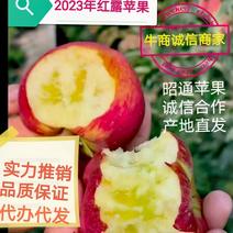 （代办）云南昭通冰糖心苹果丑苹果樱桃小苹果。代办，