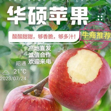 云南昭通冰糖心华硕苹果，红露苹果代办代发，社区团购落地配