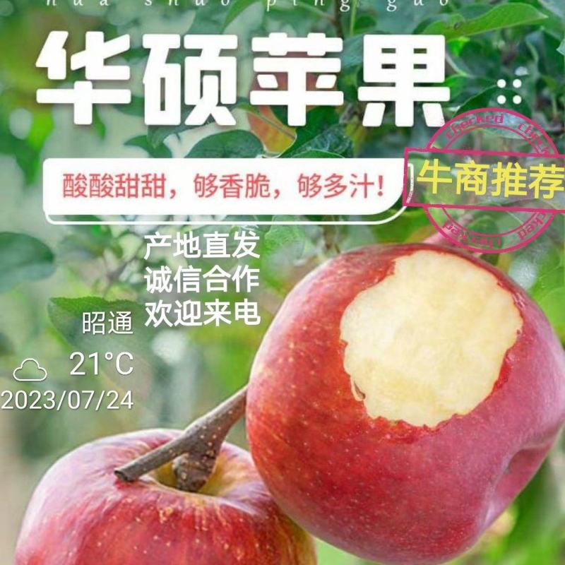 云南昭通冰糖心华硕苹果，红露苹果代办代发，社区团购落地配