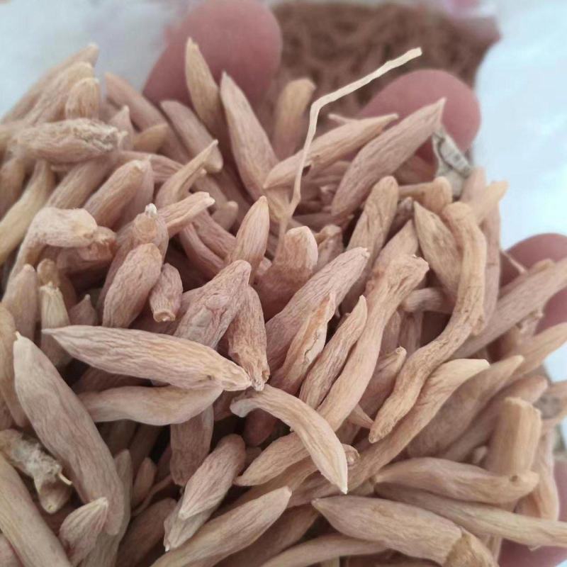 麦冬