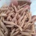 麦冬