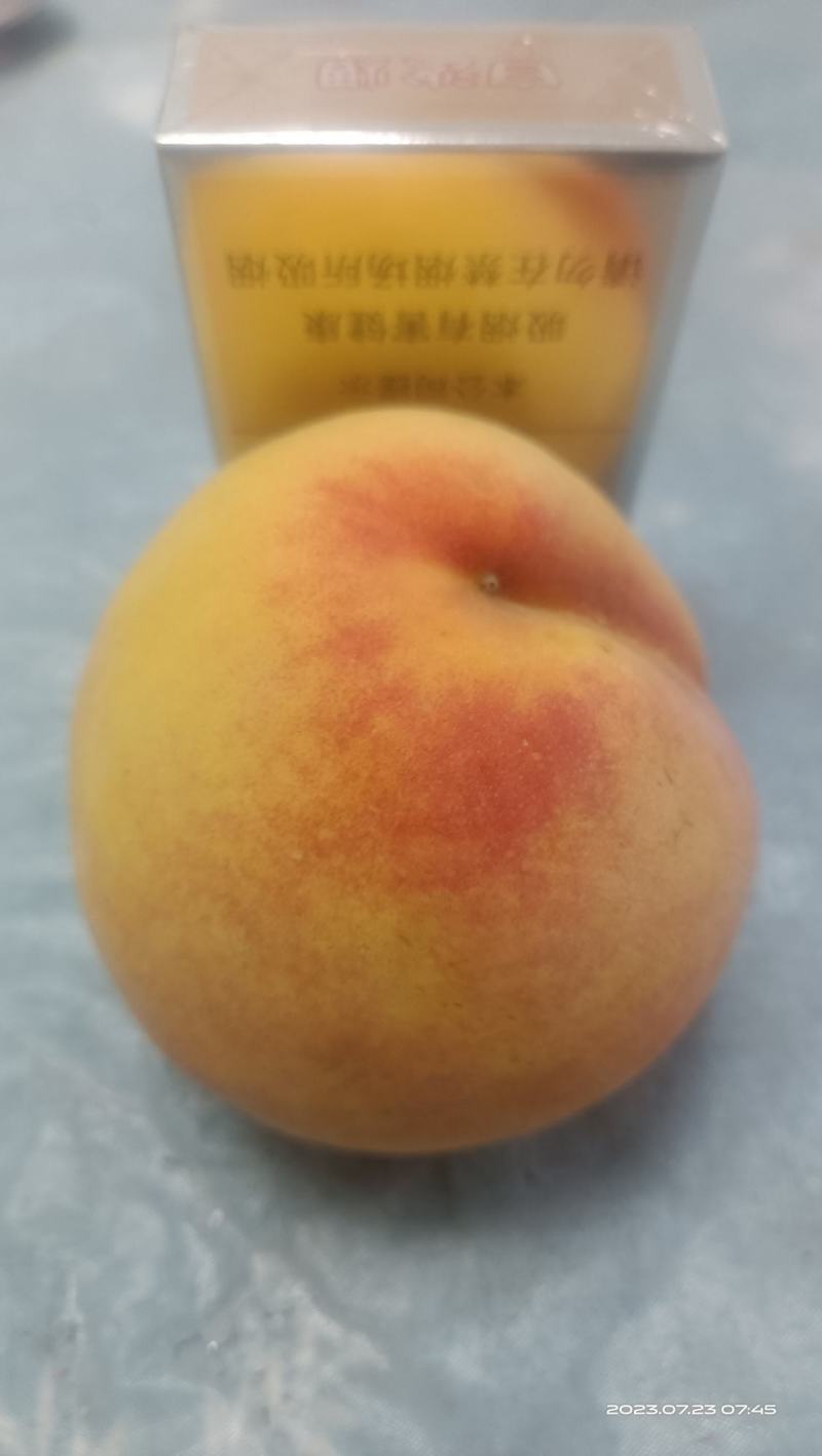 湘西锦绣黄桃