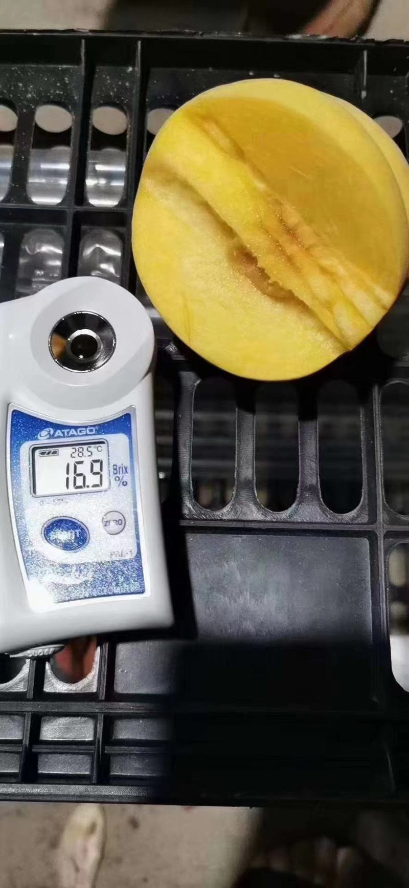 湘西锦绣黄桃
