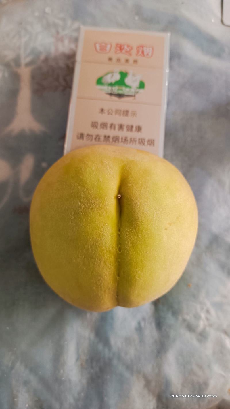 湘西锦绣黄桃