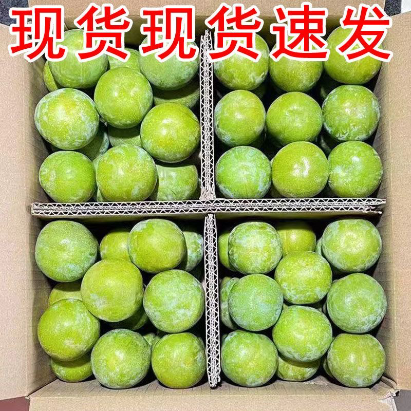 河南青脆李大量上市，价格优惠，货源充足，欢迎采购