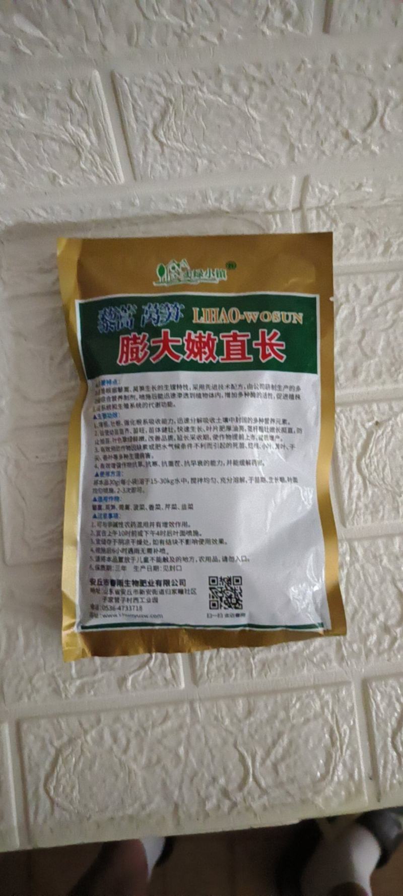 藜蒿莴笋变大增粗拔茎绿嫩防抽苔，