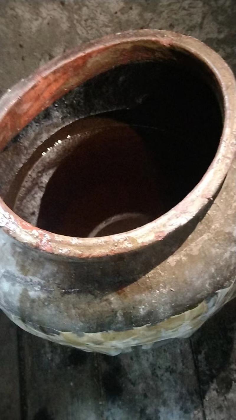 江西农村压榨山茶油食用