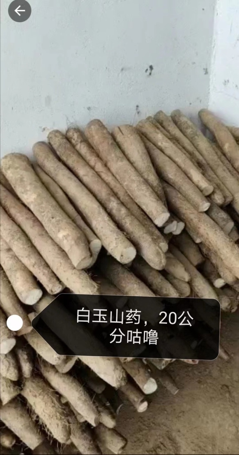 精品山东白玉山药无裂口电商货咕噜段小条打捆长条板子网袋