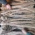 山东精品白玉山药各种电商货咕噜，长条，板子网袋货