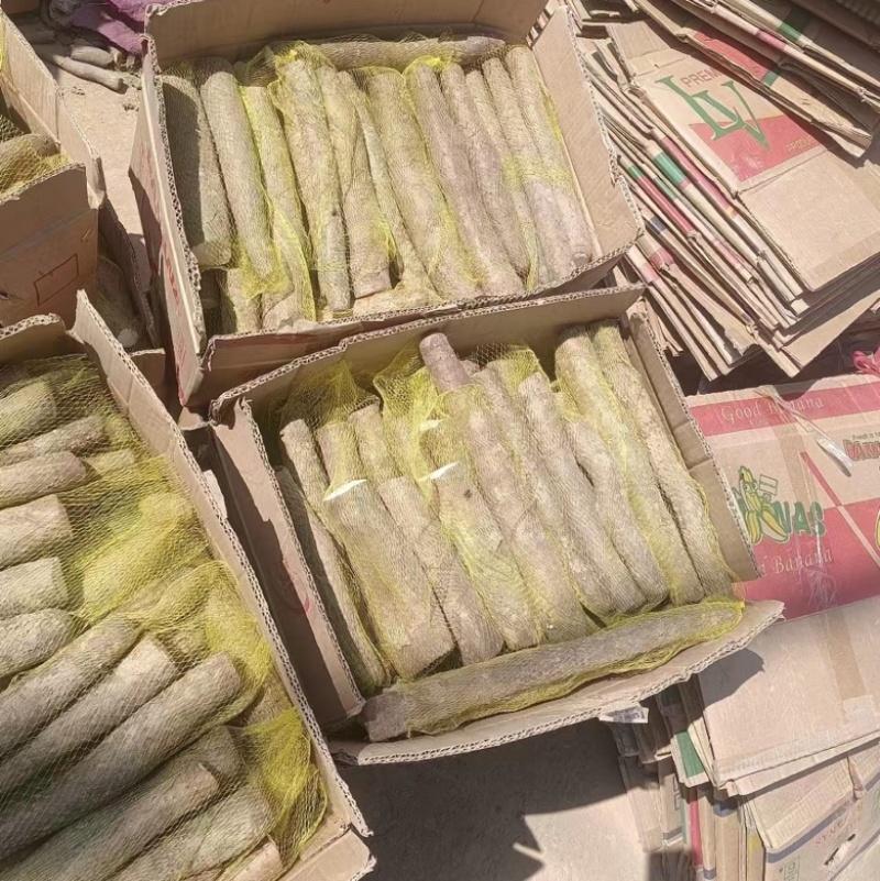 山东精品白玉山药各种电商货咕噜，长条，板子网袋货