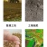 沙蒿子沙蒿种子牧草种子多年生薄蒿草荒漠蒿籽生态植物种