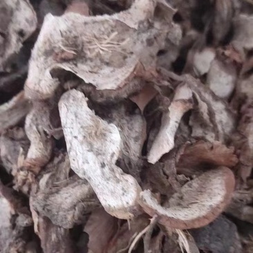 大别山野生白蔹片干货大量供应需要的联系