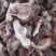 大别山野生白蔹片干货大量供应需要的联系