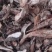 大别山野生白蔹片干货大量供应需要的联系