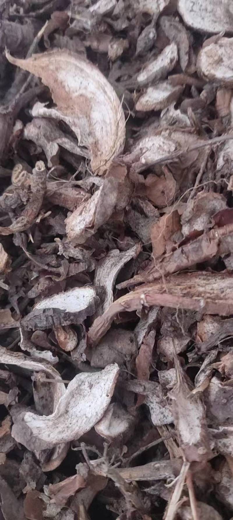 大别山野生白蔹片干货大量供应需要的联系