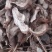 大别山野生白蔹片干货大量供应需要的联系